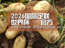 产品展示标题2