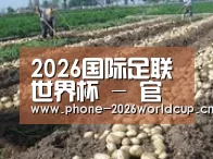 种植基地七(图1)