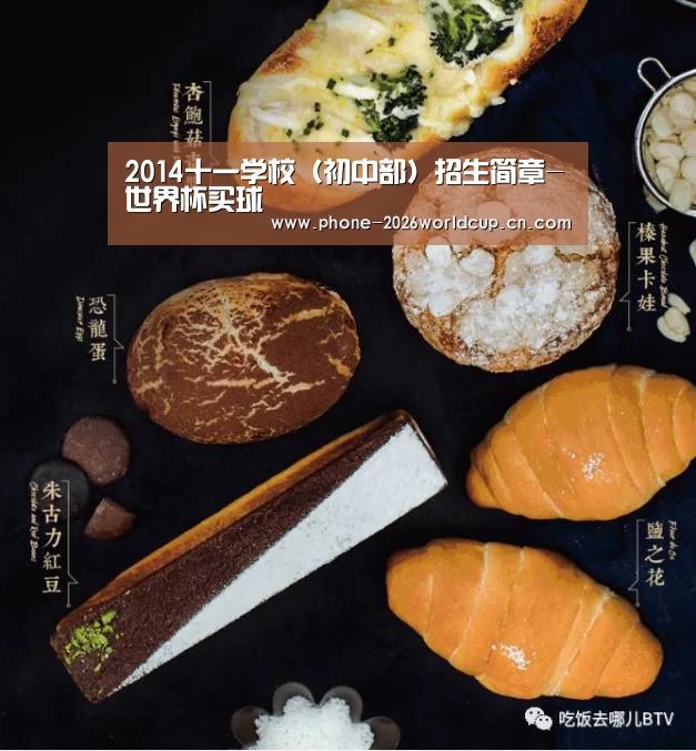 2026世界杯官网