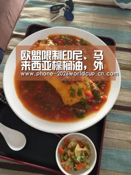 世界杯买球