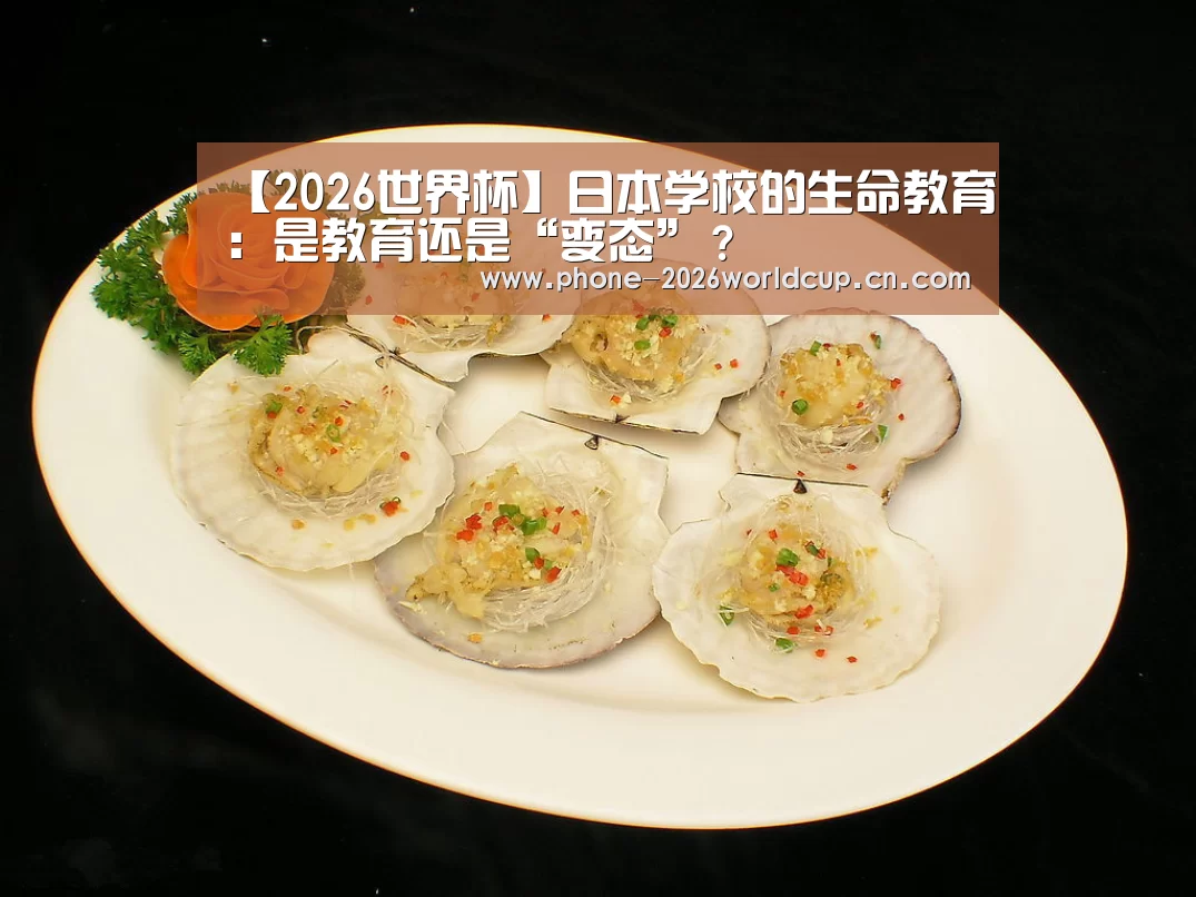 2026世界杯
