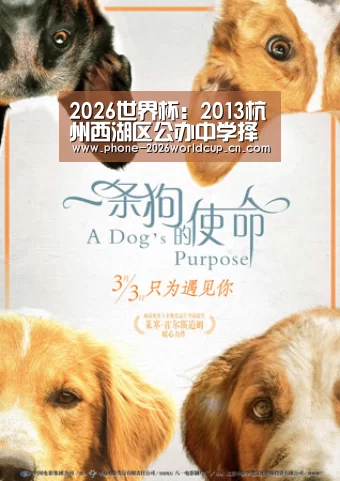 2026世界杯官网