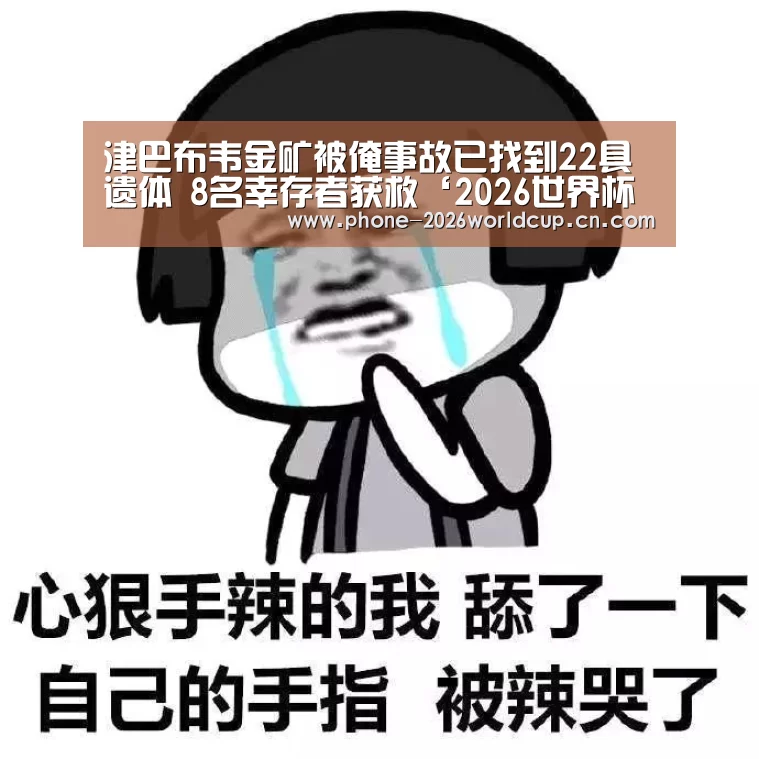 津巴布韦金矿被淹事故已找到22具遗体 8名幸存者获救‘2026世界杯官网’(图1) 2026世界杯