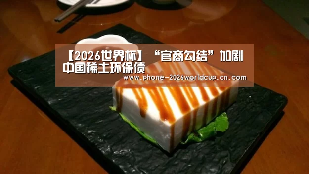 【2026世界杯】“官商勾结”加剧中国稀土环保债(图2) 世界杯买球