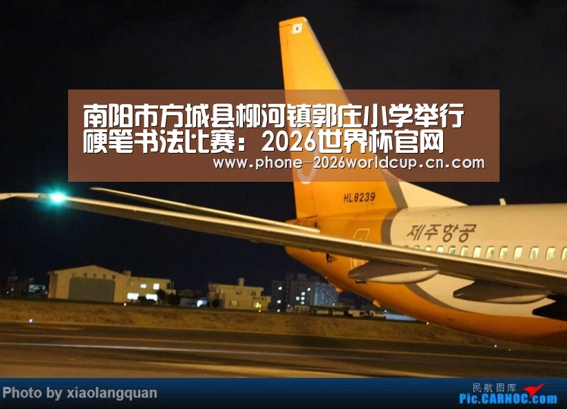 南阳市方城县柳河镇郭庄小学举行硬笔书法比赛:2026世界杯官网(图2) 2026世界杯